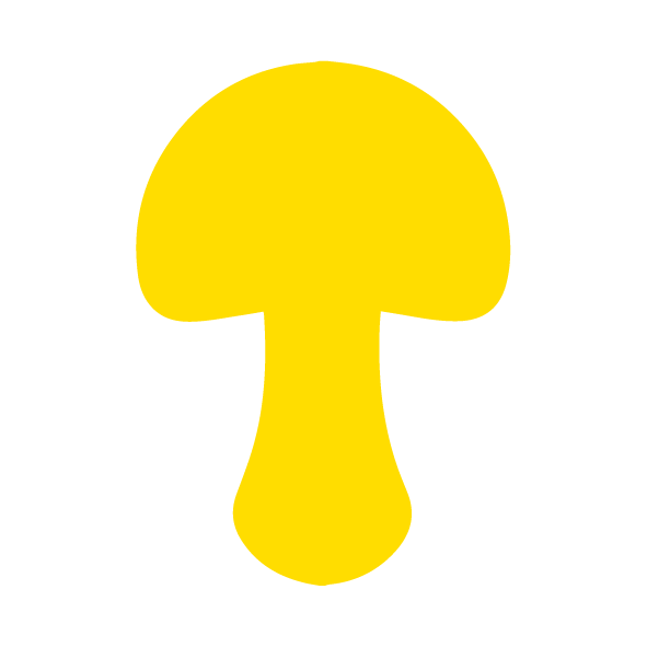 Aanzuring & drinkwaterdesinfectie