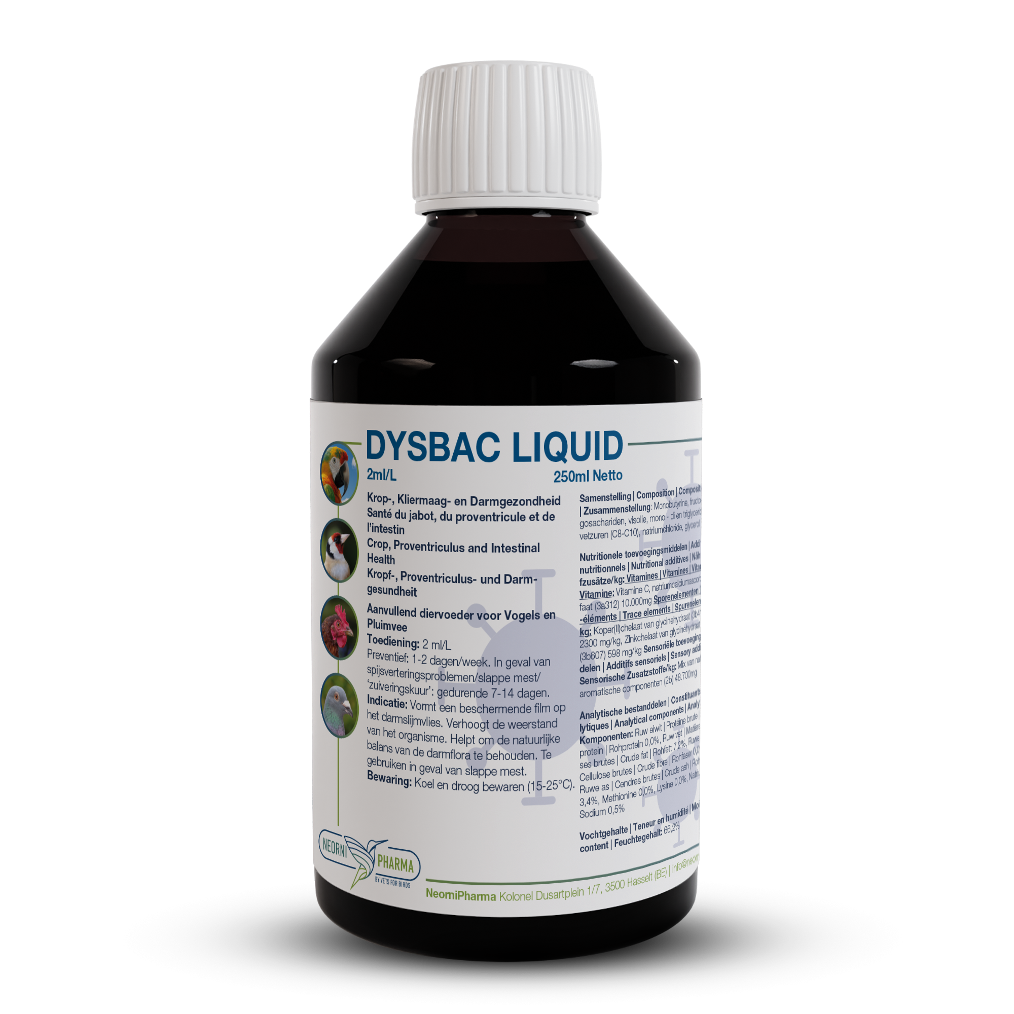 DYSBAC LIQUID (7 in 1 – Salute intestinale su 7 fronti)