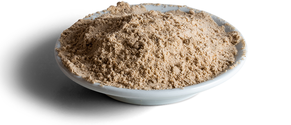 Parrot high fat alimento cria a mano