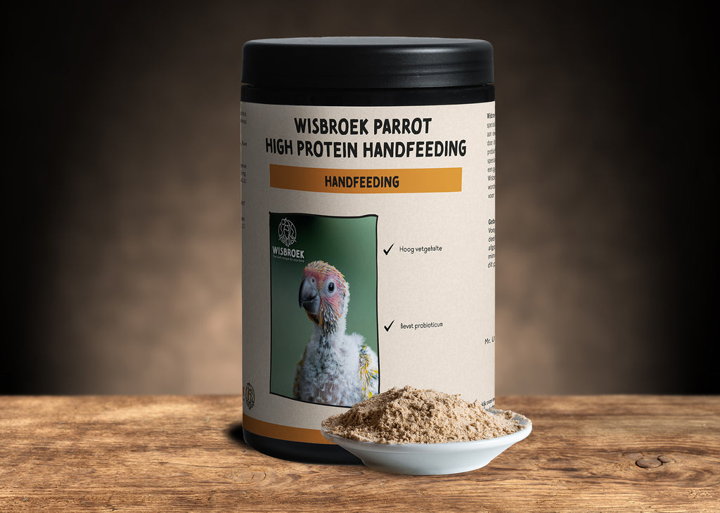 Parrot high fat alimento cria a mano