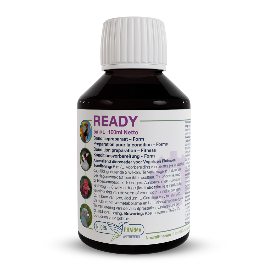 READY (Extra ijzer, jodium, L-carnitine & vit. B12) : Conditiebooster