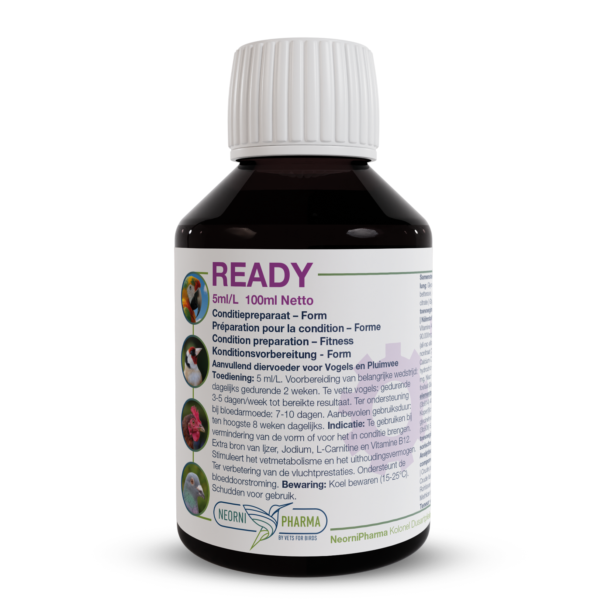 READY (Extra ijzer, jodium, L-carnitine & vit. B12) : Conditiebooster