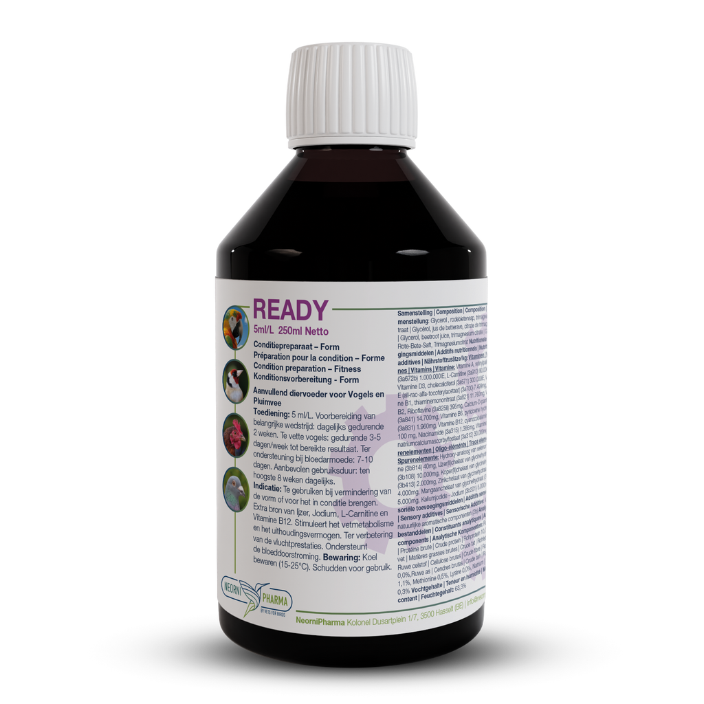 READY (Extra ijzer, jodium, L-carnitine & vit. B12) : Conditiebooster