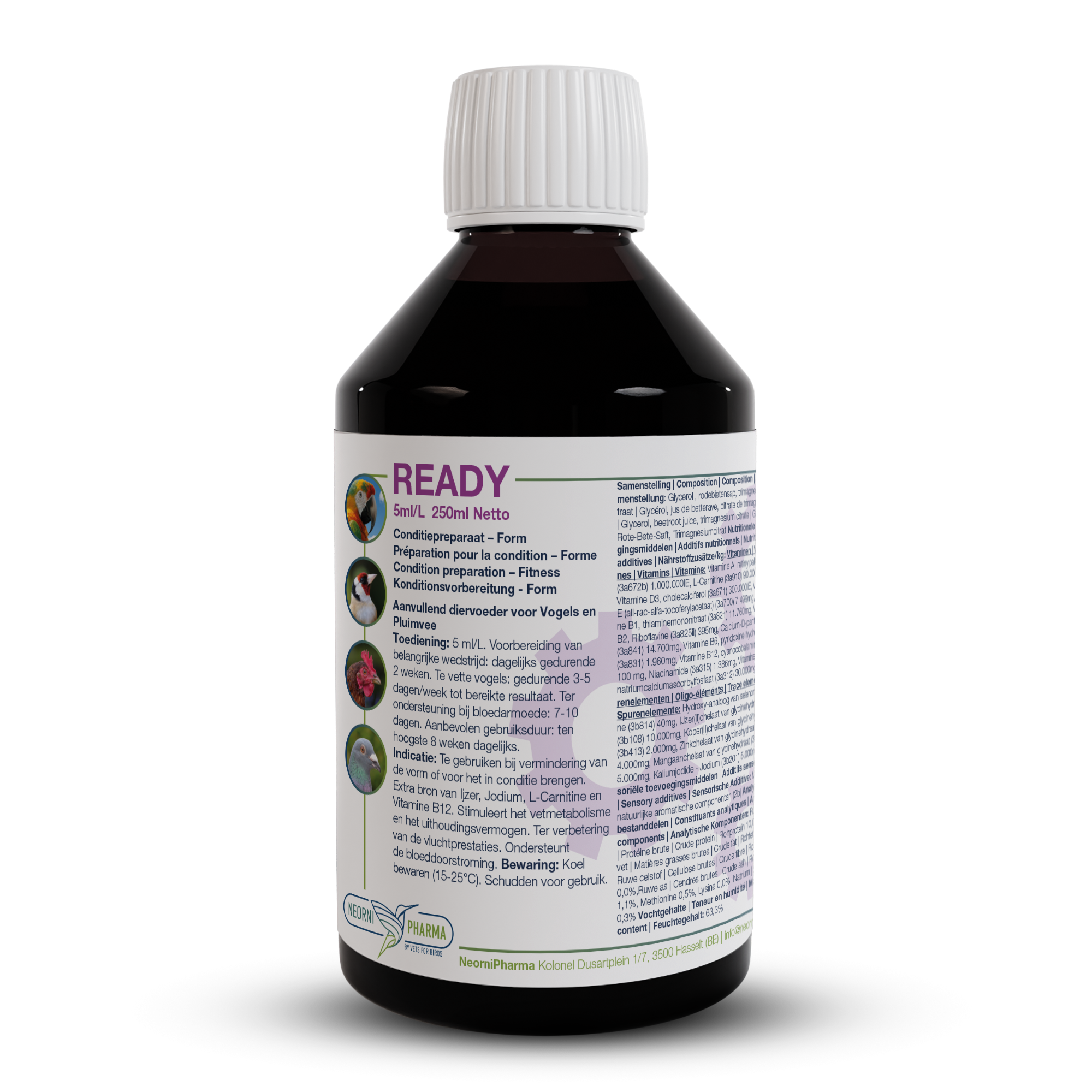 READY (Extra ijzer, jodium, L-carnitine & vit. B12) : Conditiebooster