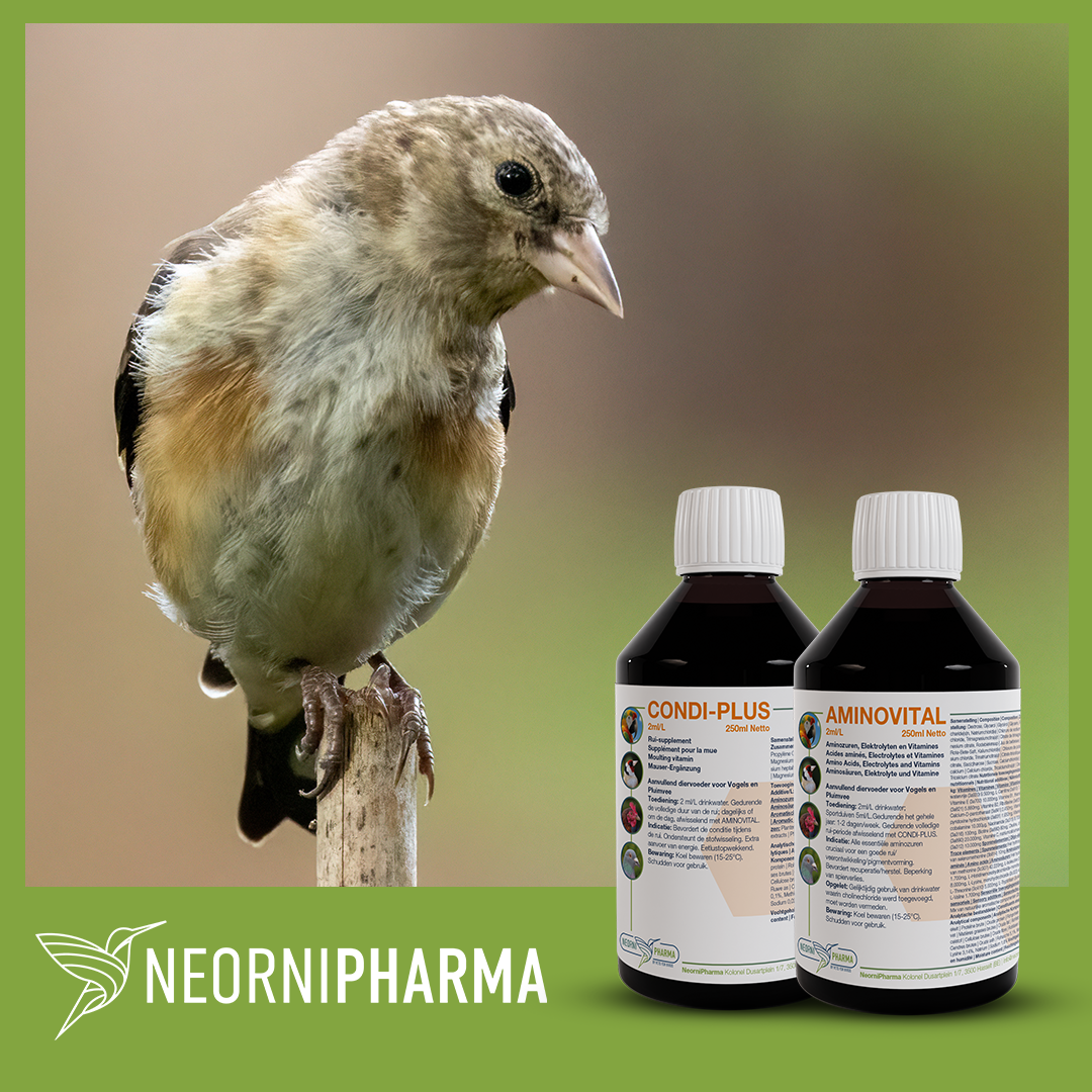 AMINOVITAL: Recovery, moult & muscle recovery