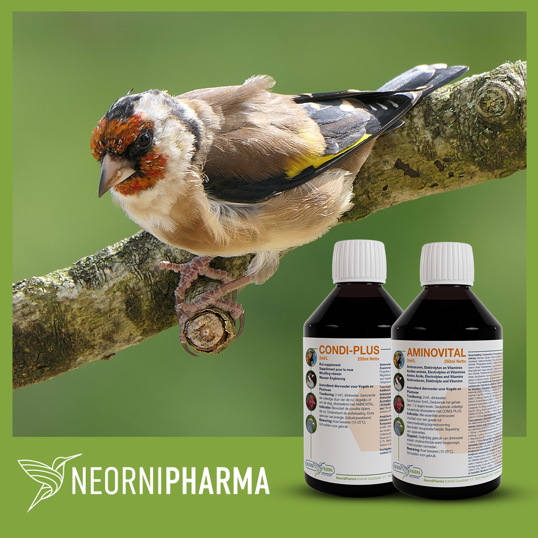 CONDI-PLUS: Support during moulting