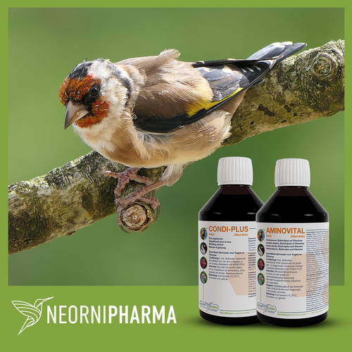 CONDI-PLUS: Support during moulting