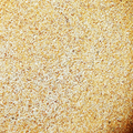 PUUR – LIEVITO DI BIRRA : Vitamine del gruppo B, aminoacidi e minerali